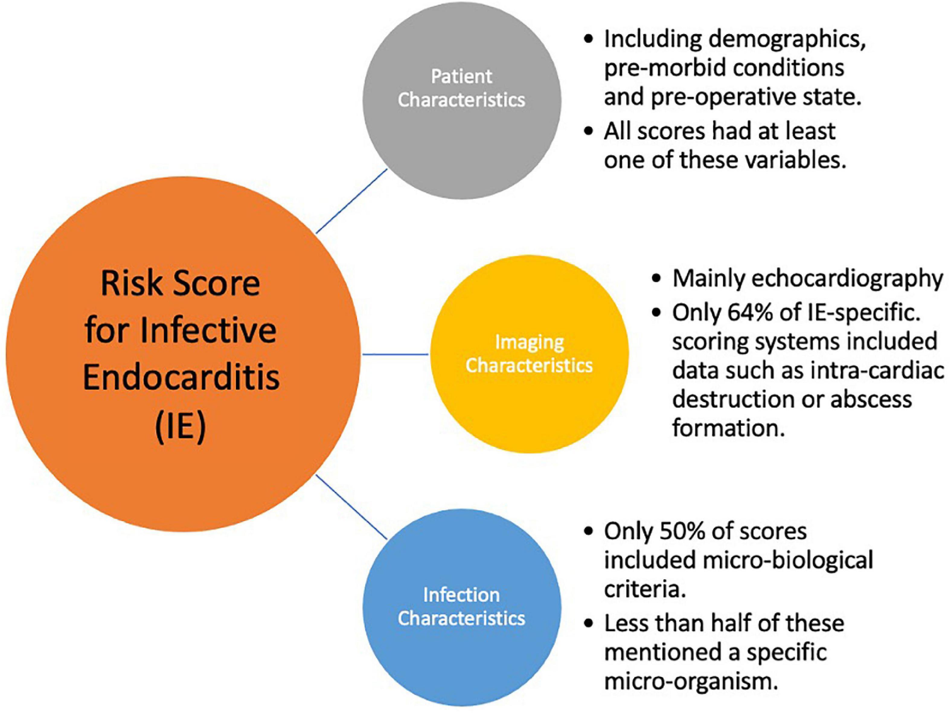 Infective endocarditis: Do we have an effective risk score model? A systematic review